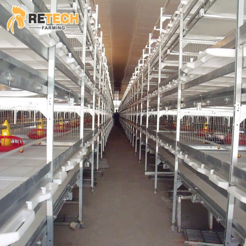 Farming System & Sustainable Agriculture - Poultry Farm Shed Design Convenient Broiler