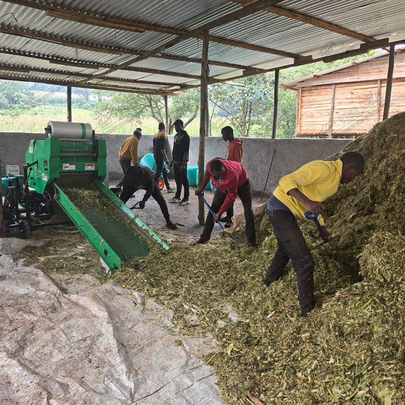China Corn Silage Grass Harves - огляд і ціна Silage Baler Machine