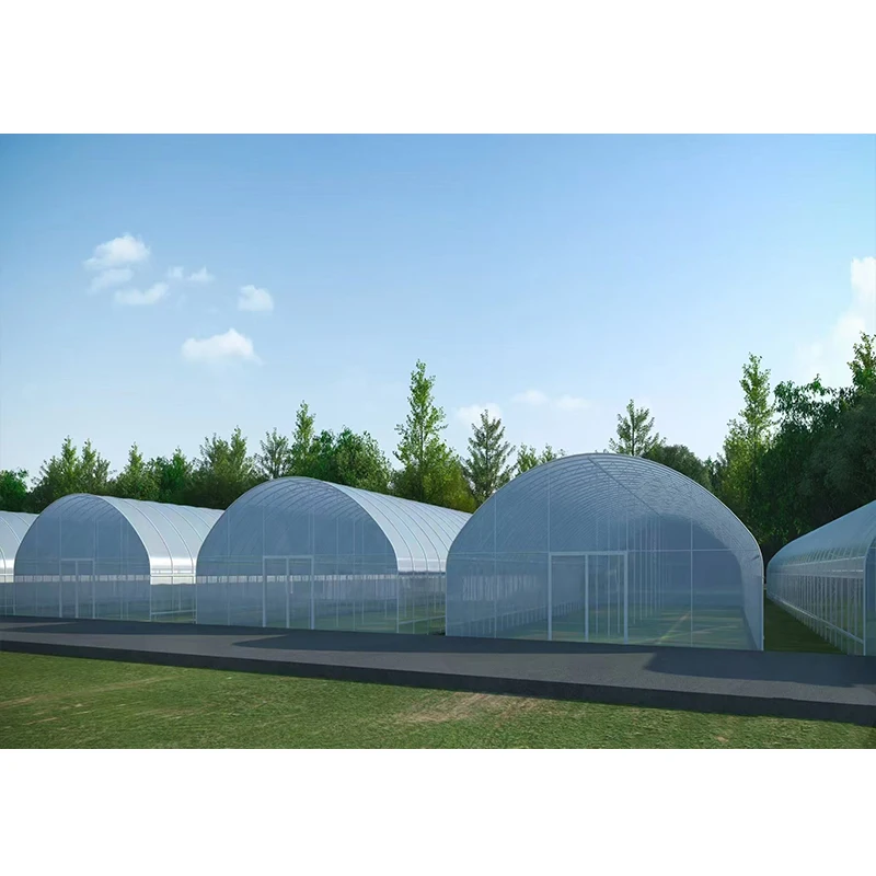 # l Low Cost Farm Singlespan G - огляд і ціна Organic Farming In Agriculture