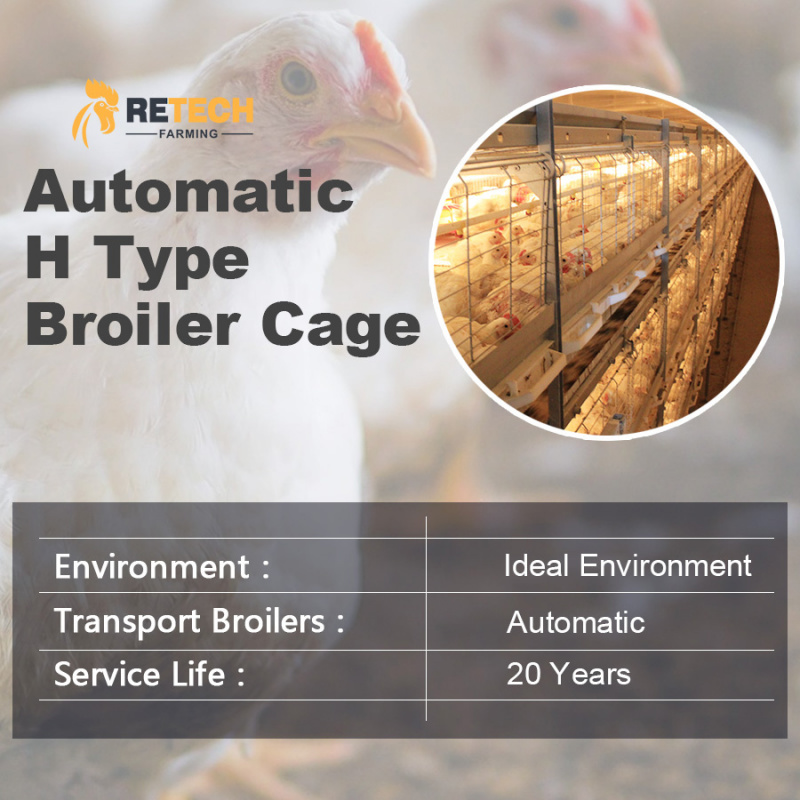 Poultry Farm Shed Design Conve - огляд і ціна Farming System & Sustainable Agriculture