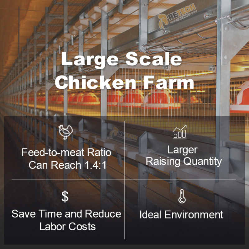 Poultry Farm Shed Design Conve - огляд і ціна Farming System & Sustainable Agriculture