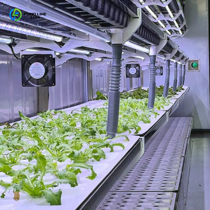 Customized Custom Container Fa - огляд і ціна Organic Farming In Agriculture