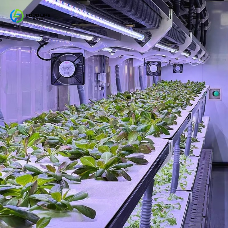 Customized Custom Container Fa - огляд і ціна Organic Farming In Agriculture