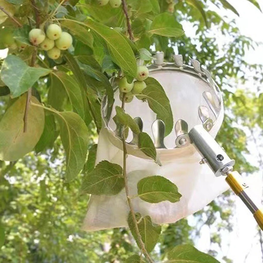 Professional Berry Picker Tool - огляд і ціна Farming Tools For Agriculture