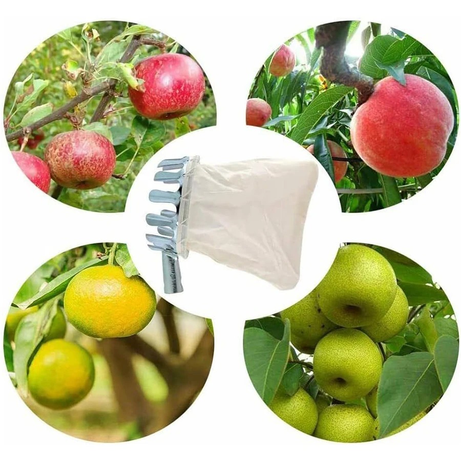 Professional Berry Picker Tool - огляд і ціна Farming Tools For Agriculture