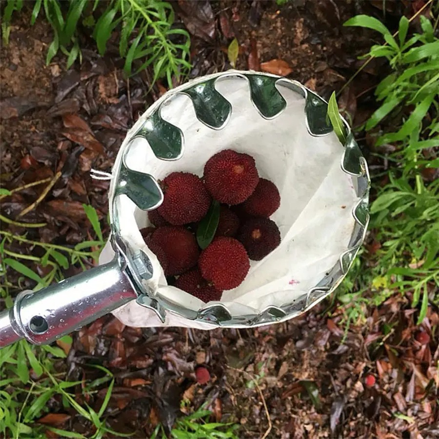 Professional Berry Picker Tool - огляд і ціна Farming Tools For Agriculture