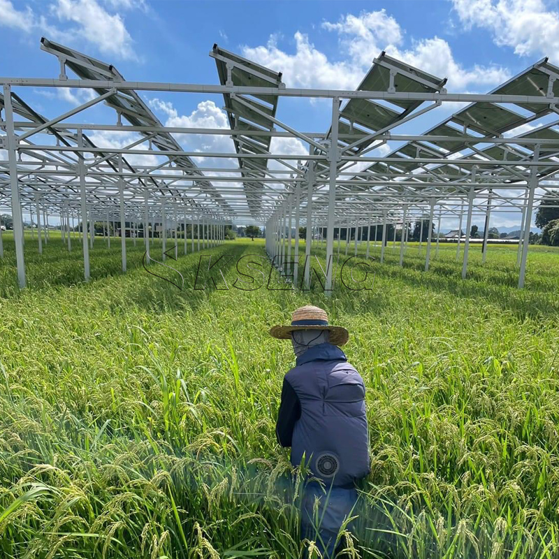 Japan`s New Agriculture Alumin - огляд і ціна Sustainable Agriculture/Farming