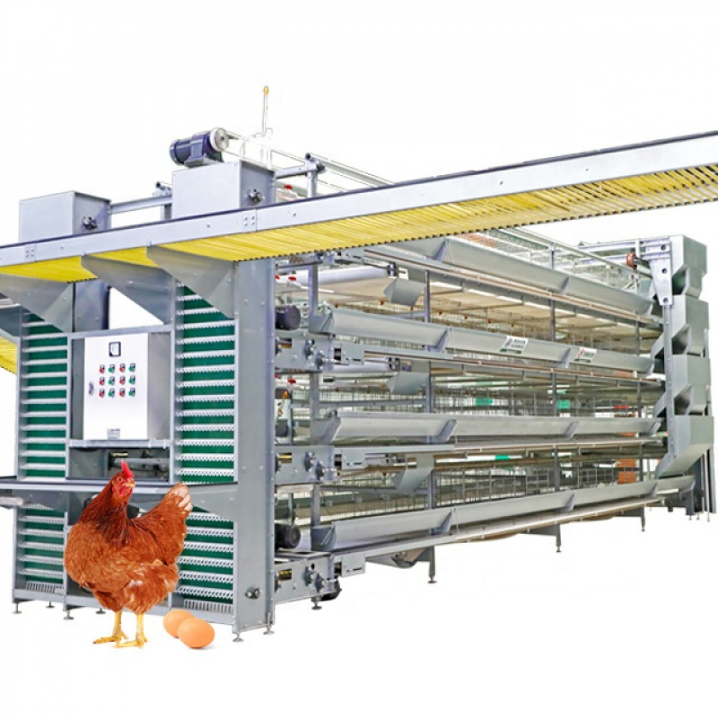 H Type Automatic Chicken Equip - огляд і ціна Farming System & Sustainable Agriculture